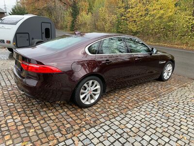 Jaguar XF Gebrauchtwagen