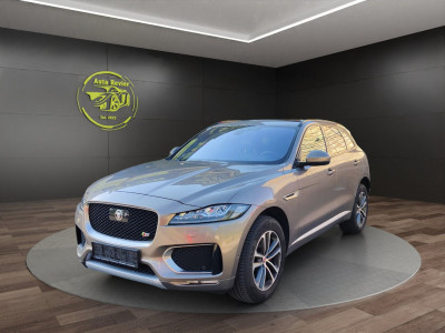 Jaguar F-Pace Gebrauchtwagen Jaguar F-Pace Gebrauchtwagen