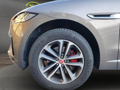 Jaguar F-Pace Gebrauchtwagen Jaguar F-Pace Gebrauchtwagen