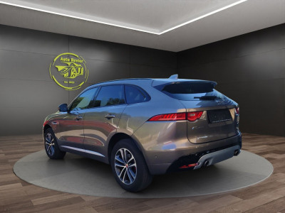 Jaguar F-Pace Gebrauchtwagen Jaguar F-Pace Gebrauchtwagen