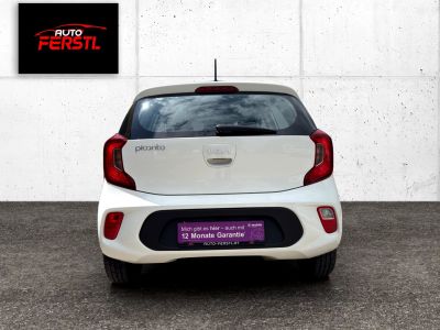 KIA Picanto Gebrauchtwagen