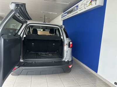 Ford EcoSport Gebrauchtwagen