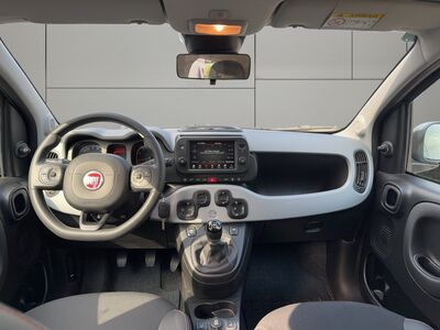 Fiat Panda Gebrauchtwagen