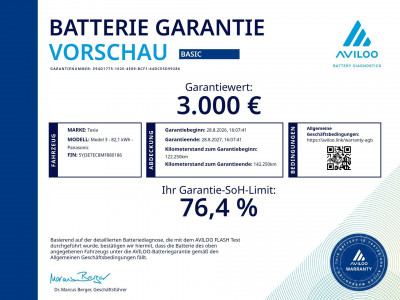 Tesla Model 3 Gebrauchtwagen