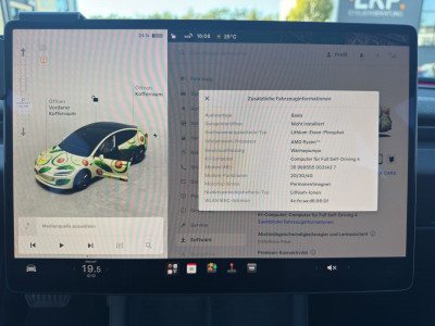 Tesla Model 3 Gebrauchtwagen