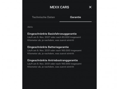 Tesla Model 3 Gebrauchtwagen