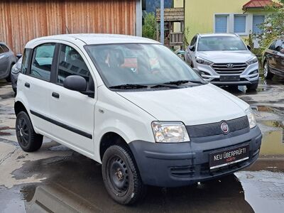 Fiat Panda Gebrauchtwagen