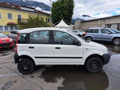 Fiat Panda Gebrauchtwagen