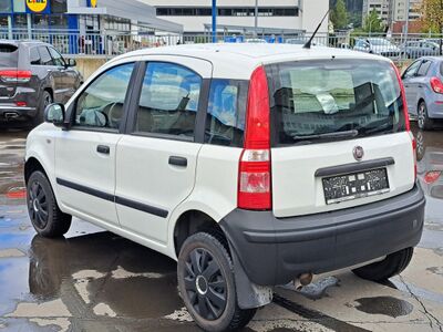 Fiat Panda Gebrauchtwagen