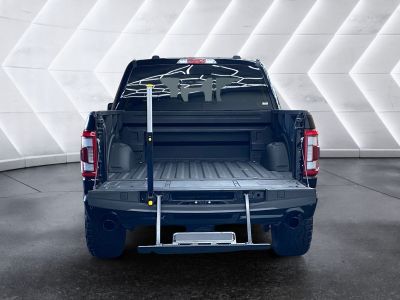 Ford F-150/F-250 Gebrauchtwagen