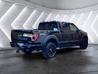 Ford F-150/F-250 Gebrauchtwagen