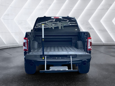 Ford F-150/F-250 Gebrauchtwagen Ford F-150/F-250 Gebrauchtwagen