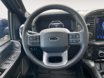 Ford F-150/F-250 Gebrauchtwagen Ford F-150/F-250 Gebrauchtwagen