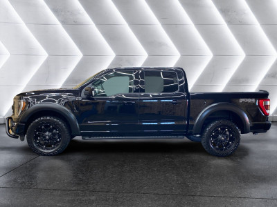 Ford F-150/F-250 Gebrauchtwagen Ford F-150/F-250 Gebrauchtwagen