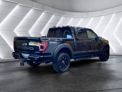 Ford F-150/F-250 Gebrauchtwagen Ford F-150/F-250 Gebrauchtwagen