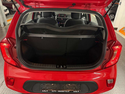 KIA Picanto Gebrauchtwagen KIA Picanto Gebrauchtwagen