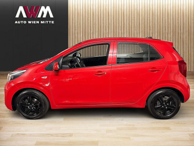 KIA Picanto Gebrauchtwagen KIA Picanto Gebrauchtwagen
