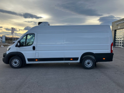 Fiat Ducato Gebrauchtwagen