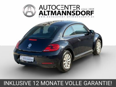 VW Beetle Gebrauchtwagen