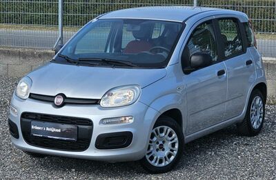 Fiat Panda Gebrauchtwagen