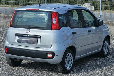 Fiat Panda Gebrauchtwagen