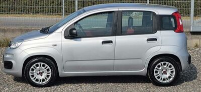 Fiat Panda Gebrauchtwagen