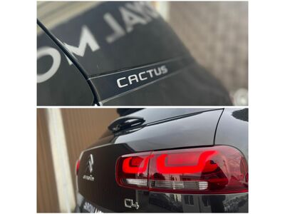 Citroën C4 Cactus Gebrauchtwagen