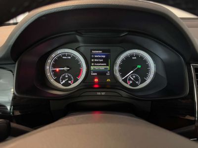 Skoda Kodiaq Gebrauchtwagen