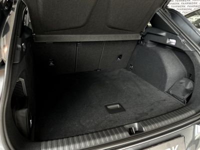 Cupra Terramar Gebrauchtwagen