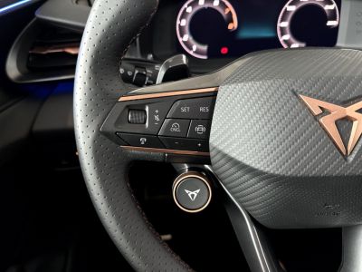 Cupra Terramar Gebrauchtwagen