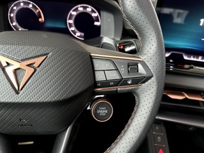 Cupra Terramar Gebrauchtwagen