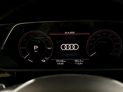 Audi Q8 e-tron Gebrauchtwagen