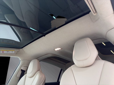Tesla Model X Gebrauchtwagen Tesla Model X Gebrauchtwagen