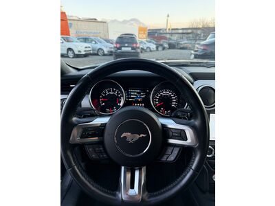 Ford Mustang Gebrauchtwagen