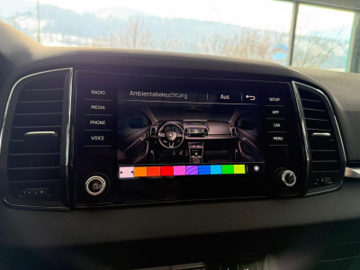 Skoda Karoq Gebrauchtwagen