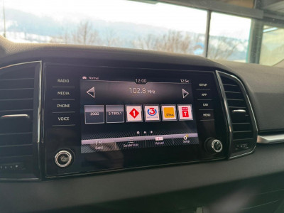 Skoda Karoq Gebrauchtwagen