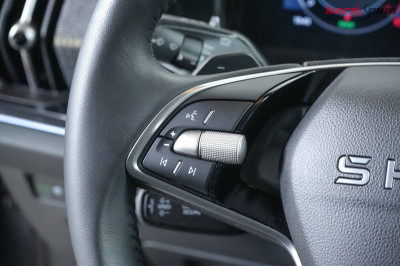 Skoda Kodiaq Gebrauchtwagen Skoda Kodiaq Gebrauchtwagen
