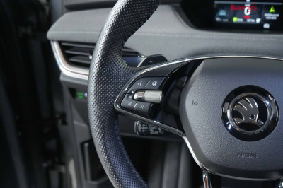 Skoda Enyaq Gebrauchtwagen Skoda Enyaq Gebrauchtwagen