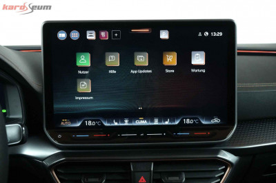Cupra Formentor Gebrauchtwagen Cupra Formentor Gebrauchtwagen