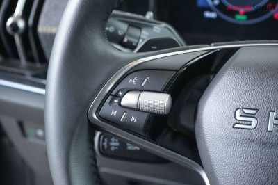 Skoda Kodiaq Gebrauchtwagen Skoda Kodiaq Gebrauchtwagen