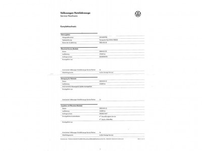 VW Transporter T6 Gebrauchtwagen