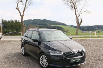 Skoda Fabia Gebrauchtwagen