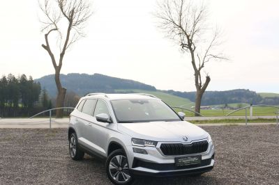 Skoda Karoq Gebrauchtwagen