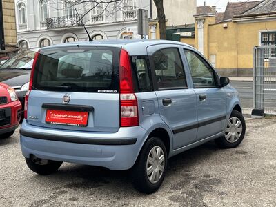 Fiat Panda Gebrauchtwagen