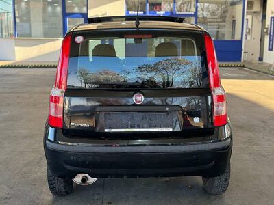 Fiat Panda Gebrauchtwagen