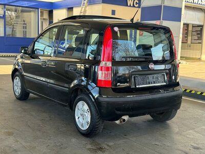 Fiat Panda Gebrauchtwagen