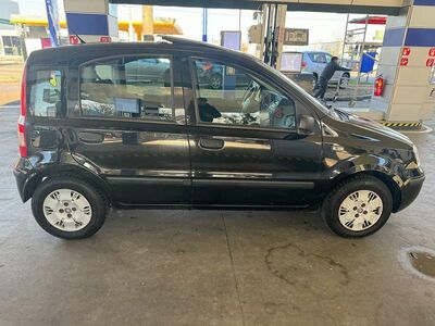 Fiat Panda Gebrauchtwagen