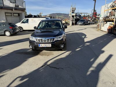 Subaru Forester Gebrauchtwagen Subaru Forester Gebrauchtwagen