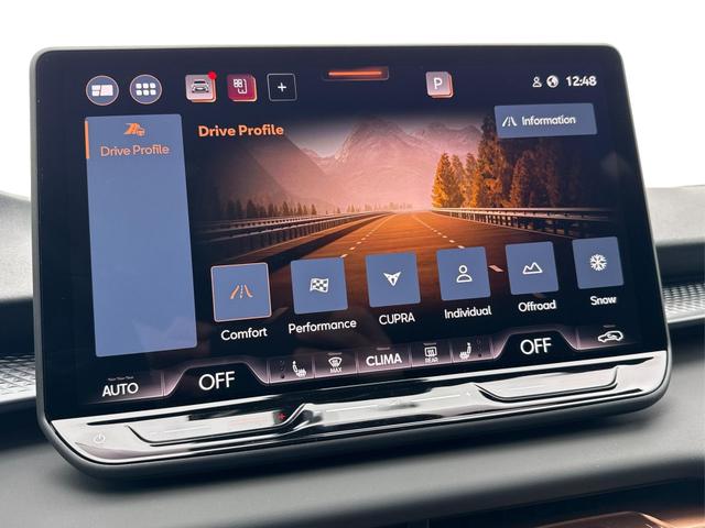 Cupra Terramar Gebrauchtwagen