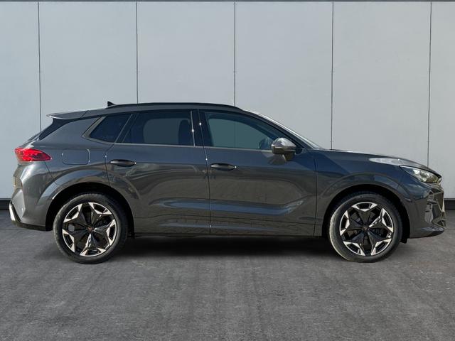 Cupra Terramar Gebrauchtwagen